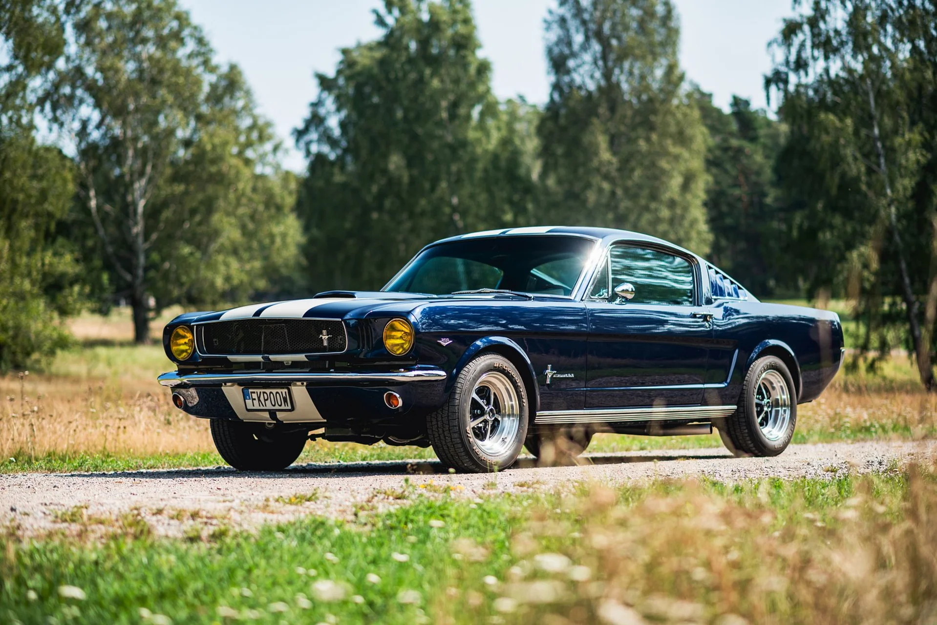 Helbild – Mustang i miljö (enhetlig stil)